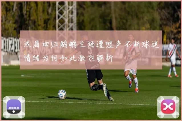 浓眉回归鹈鹕主场遭嘘声不断球迷情绪为何如此激烈解析