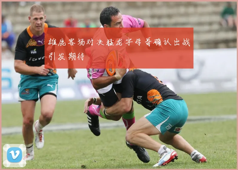 雄鹿客场对决猛龙字母哥确认出战引发期待
