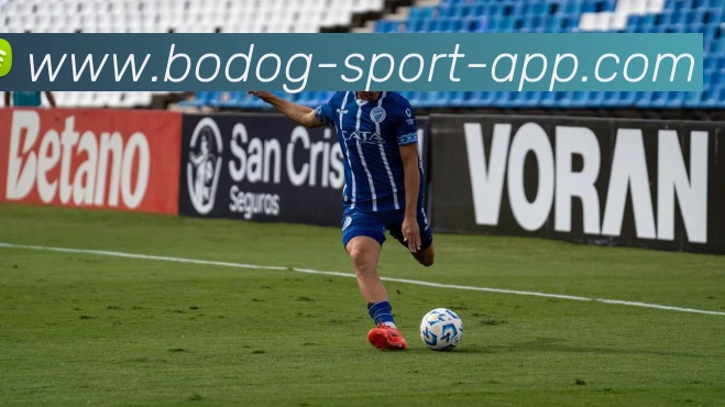 App Interface Preview