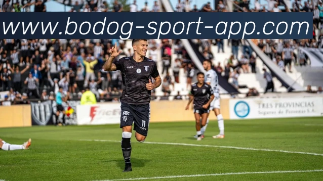 博狗体育APP 封面图